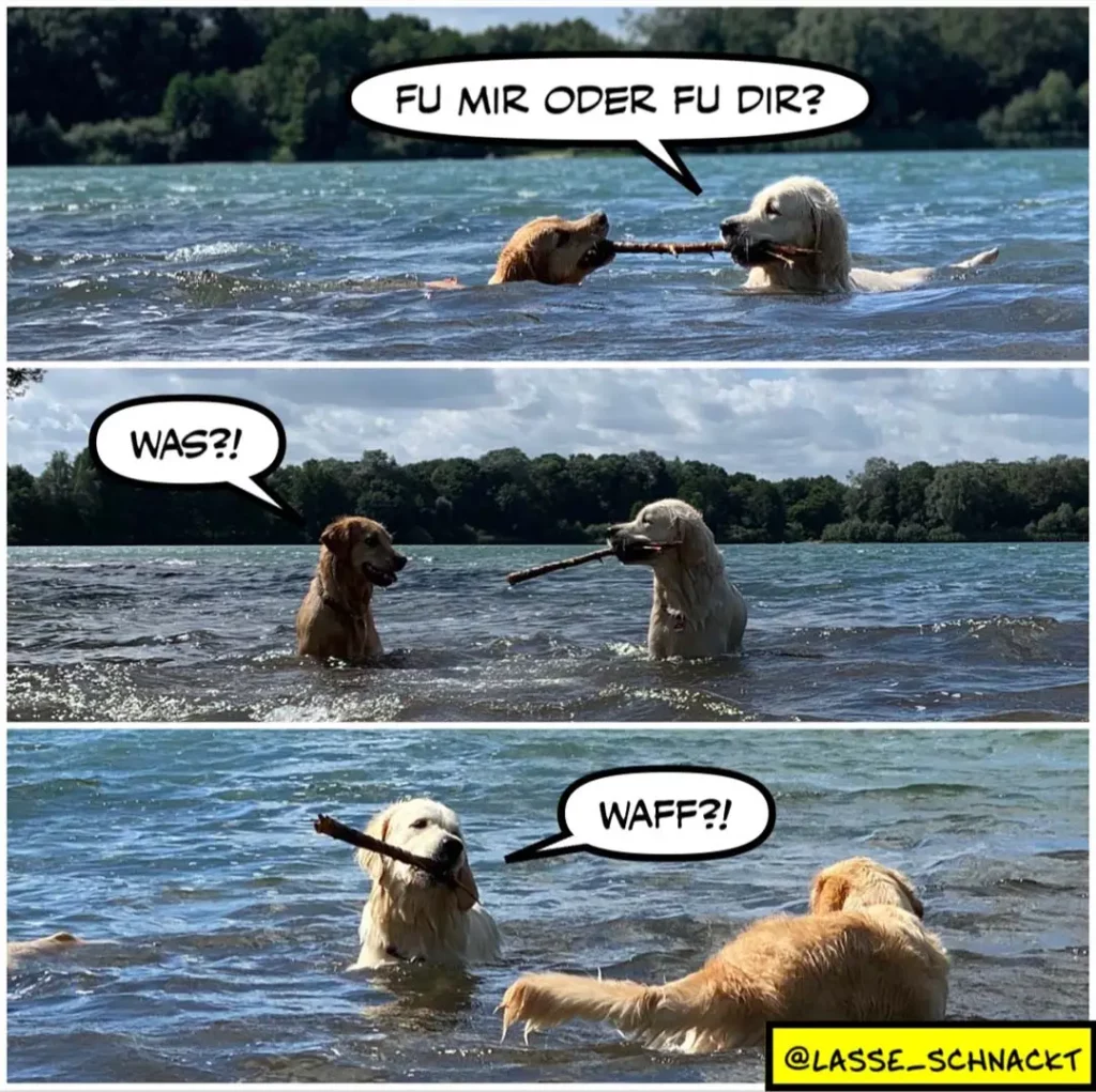 Zwei Hunde im Wasser mit Stöcken: Brauner Hund fragt weissen Hund, weisser Hund antwortet verwirrt, dann tauschen sie die Rollen