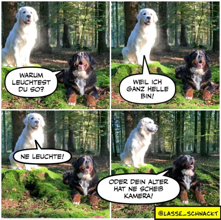 Weisser Hund und dunkelbrauner Hund im Wald. Der weisse Hund fragt: «Warum leuchtest du so?» Der braune antwortet: «Weil ich ganz helle bin!» Der weisse sagt: «Ne leuchte!» Im letzten Panel: Der braune Hund sagt: «Oder dein Alter hat ne Scheiss Kamera!»