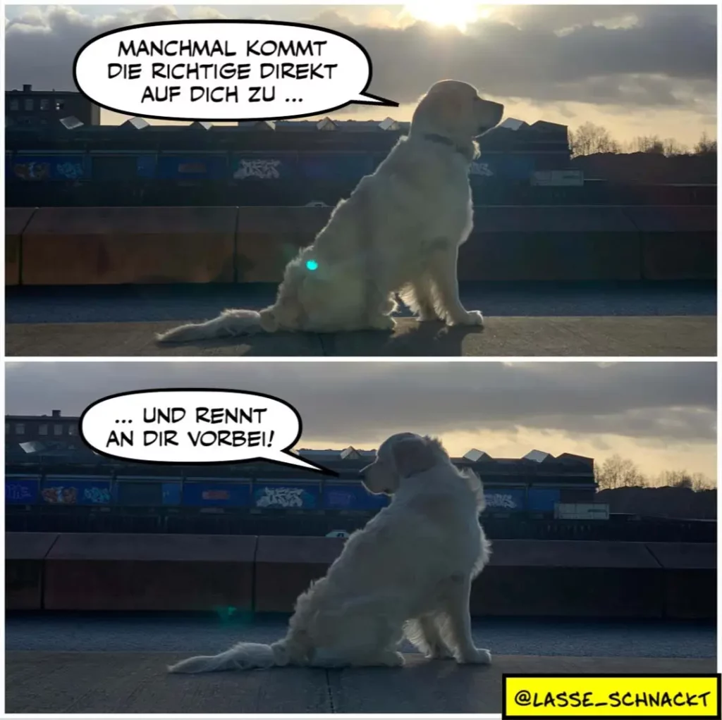 Weisser Hund sitzt auf Pflaster vor Industriegebäude. Oben: spricht 'Manchmal kommt die richtige Direkt auf dich zu...'. Unten: Hund rennt weg, sagt 'Und rennt an dir vorbei!'
