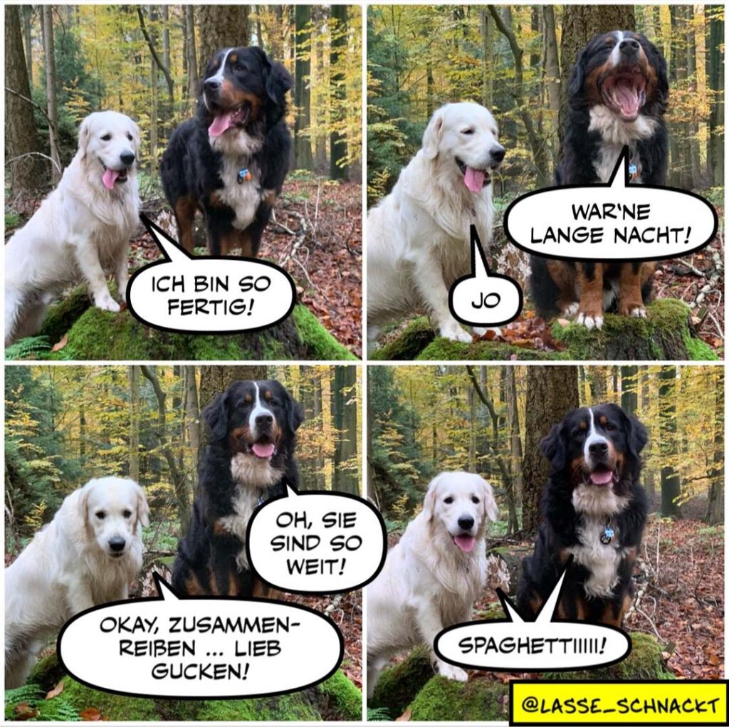 Weisser und schwarzer Hund im Wald. Panel 1: weisser Hund sagt «Ich bin so fertie!», schwarzer Hund antwortet «War'ne lange Nacht!». Panel 2: weisser Hund schlägt vor «Okay, zusammenreiben ... lieb gucken!», schwarzer Hund ruft «Spaghetti!»