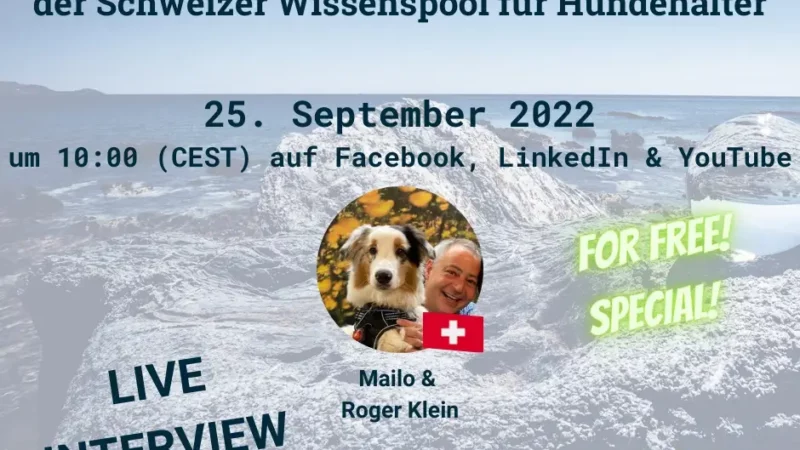 Live Interview von FutureLink
