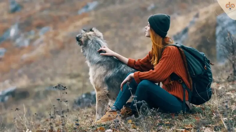 Hundefreundliche Ausflugsziele: Strände, Berge, Wälder