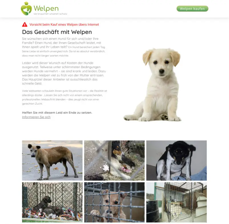 Screenshot Welpen kaufen Informationen