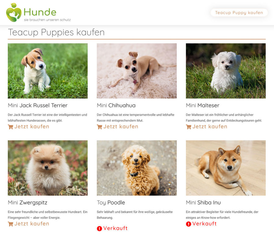 teacup-puppy-landingpage-2