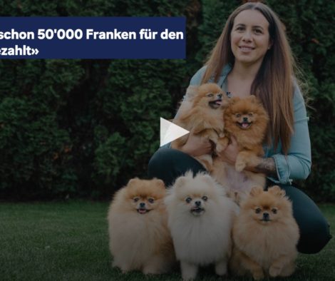 20min-50K-kosten-fuer-online-hunde