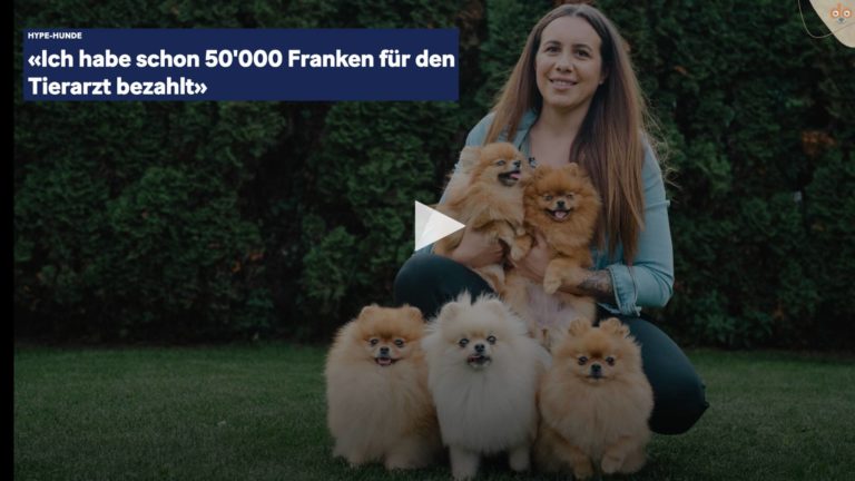20min-50K-kosten-fuer-online-hunde