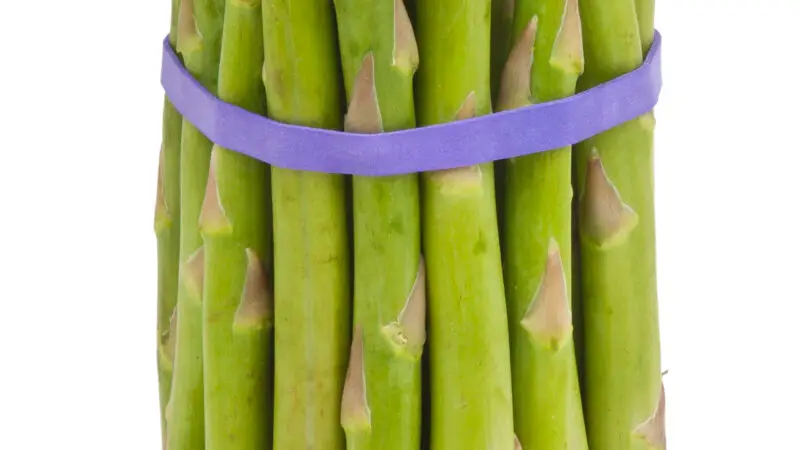 Spargel