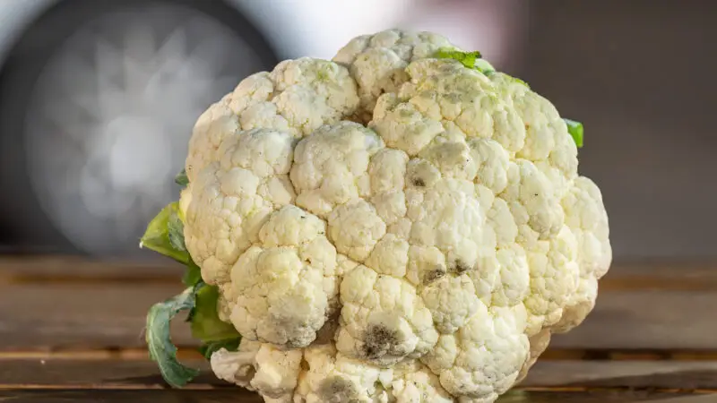 Blumenkohl