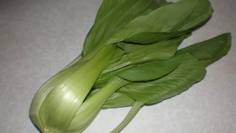 Pak Choi