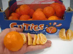 Clementine