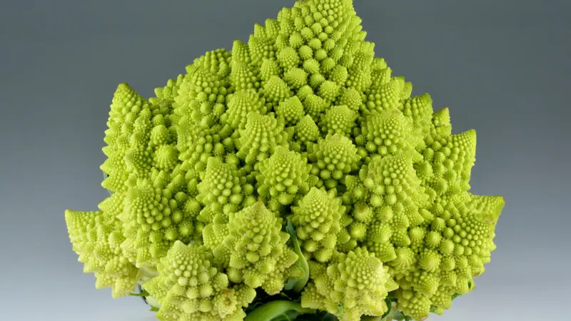 Romanesco