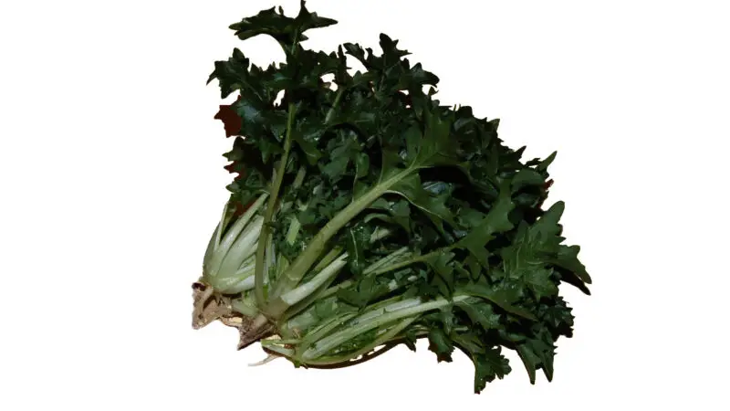 Rübstiel
