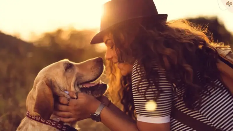 Hundepsychologie: Tipps zur Verständigung mit deinem Vierbeiner
