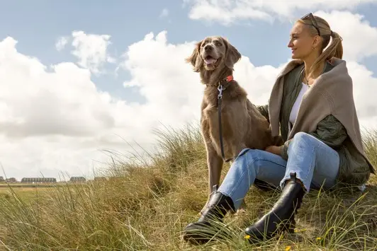 Welche Tipps gibt rundum.dog für das Reisen mit Hunden?
