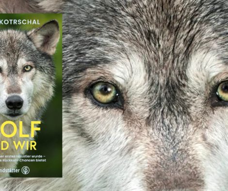 buchempfehlung-der-wolf-und-wir