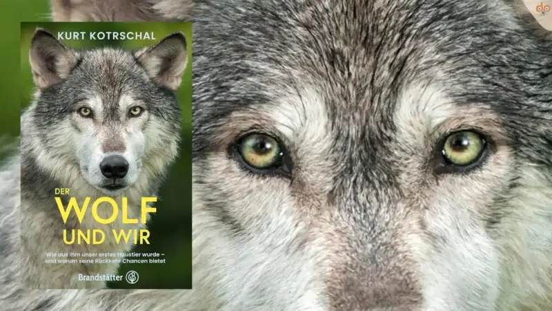 Buchempfehlung: „Der Wolf und wir“