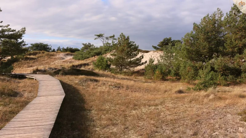 duenenlandschaft-perow-mecklenburg-vorpommern