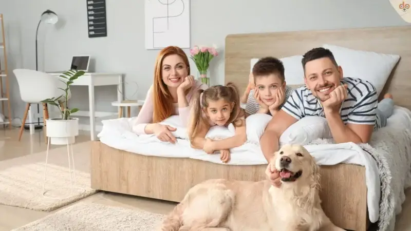 Familienhund gesucht – Aufklärung statt Täuschung!