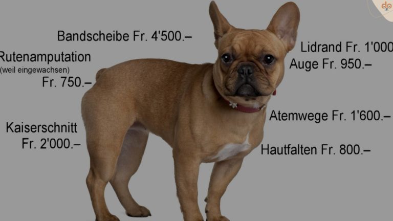 Gesundheitskosten Frenchi