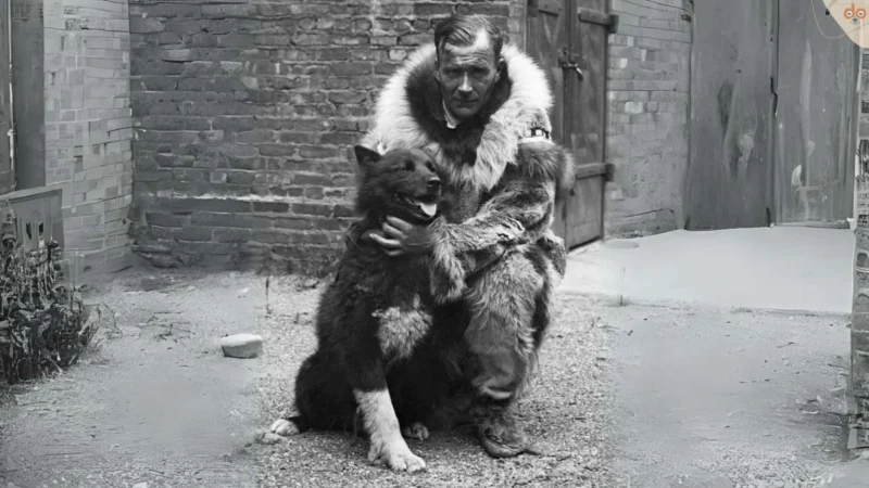 Balto & Togo, Schlittenhunde die Geschichte schrieben