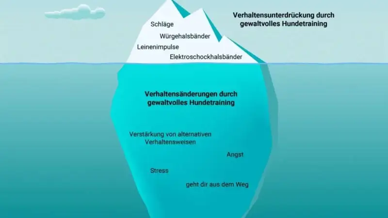 Initiative für gewaltfreies Hundetraining