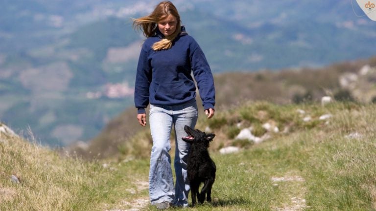 Hund geht mit Jugendlicher Bei Fuß