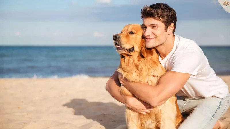 Der Trend des „Dogfishing“ und seine Auswirkungen
