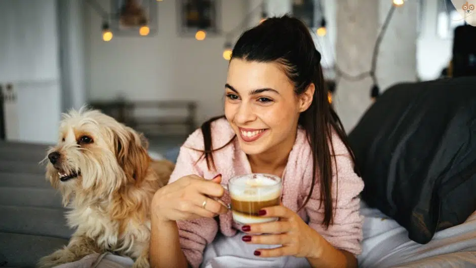 Hundecafé Kaffee Frau zuhause Bett