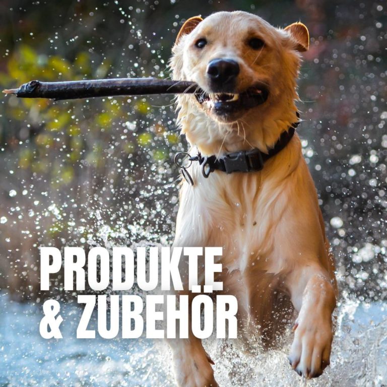 Kategorie Produkte & Zubehör