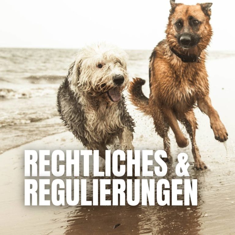 Kategorie Rechtliches & Regulierungen