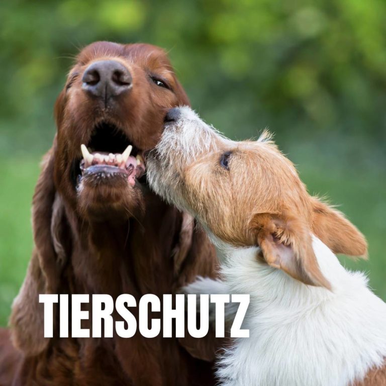 Kategorie Tierschutz