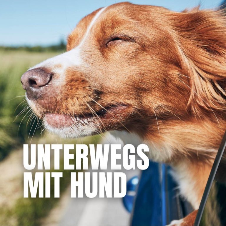 Kategorie Unterwegs mit Hund
