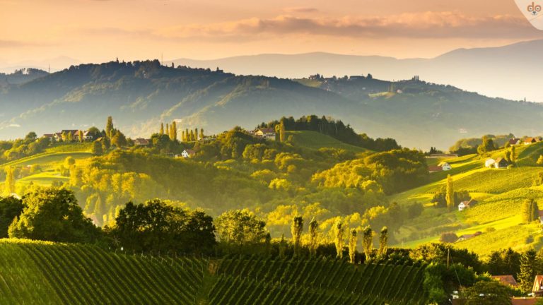 reben-panorama-steiermark