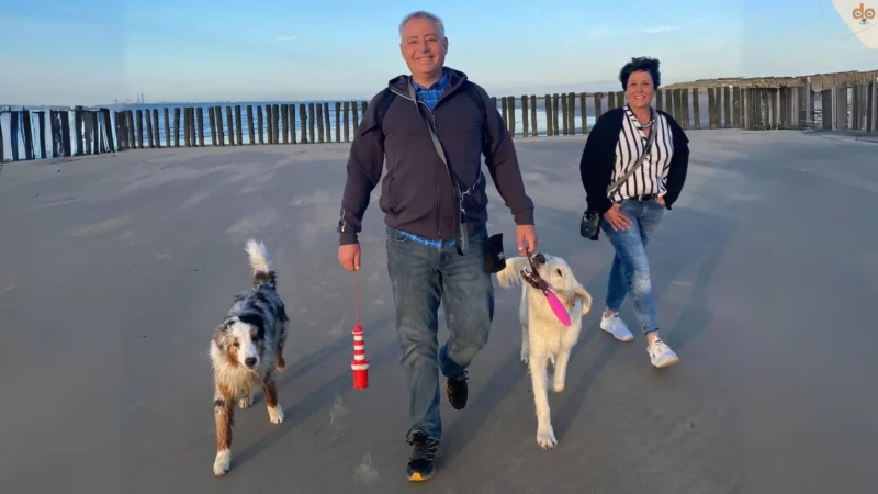 Firmeneintrag auf rundum.dog