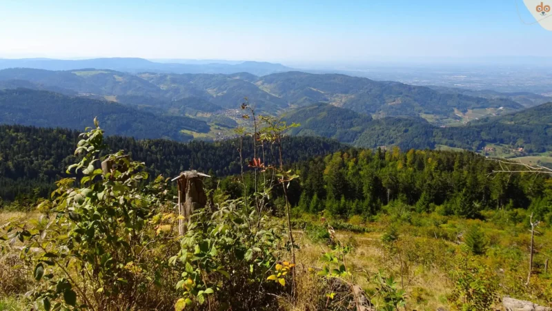 schwarzwald-baden-wuerttemberg