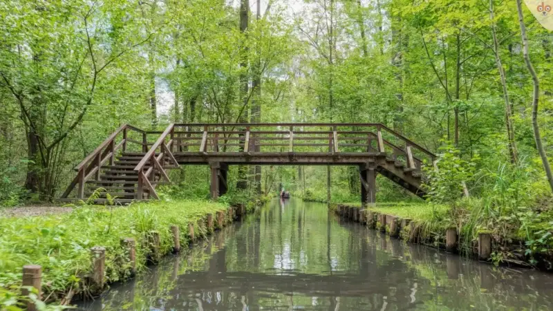 spreewald-berlin