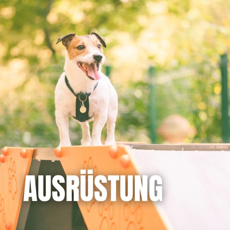 Ausrüstung : 