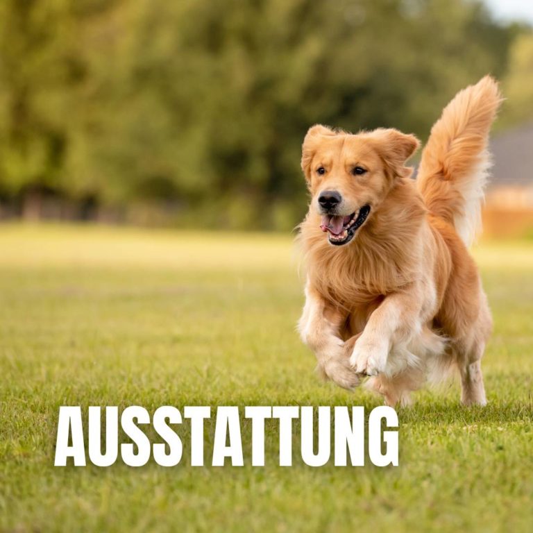Ausstatung : 