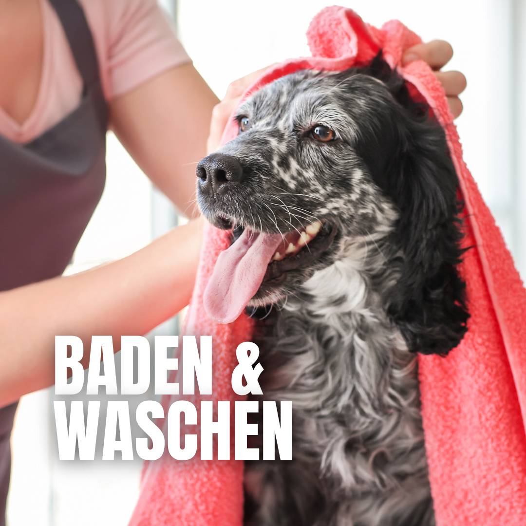 Baden & Waschen :