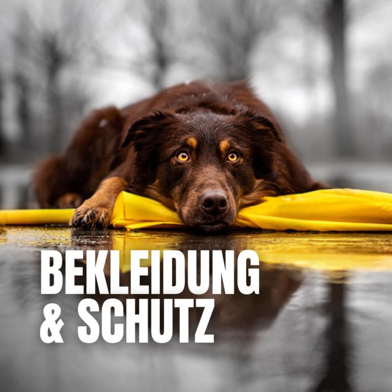 Bekleidung & Schutz : 