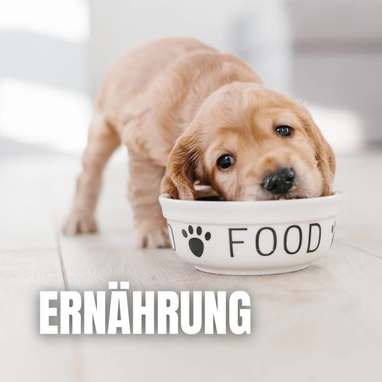 Ernährung : 