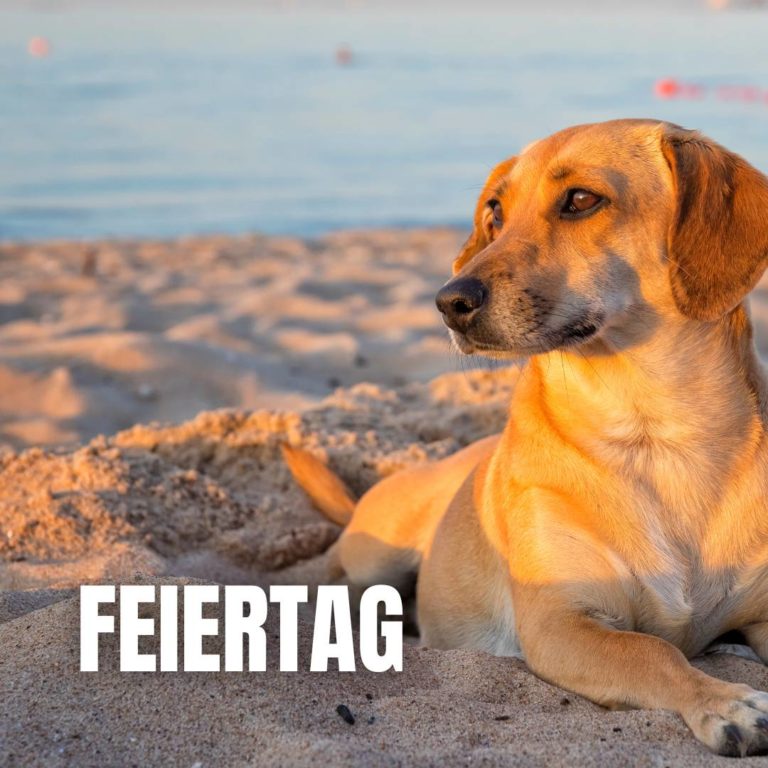 Feiertag : 