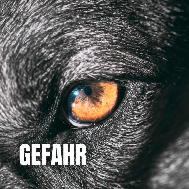 Gefahr : 