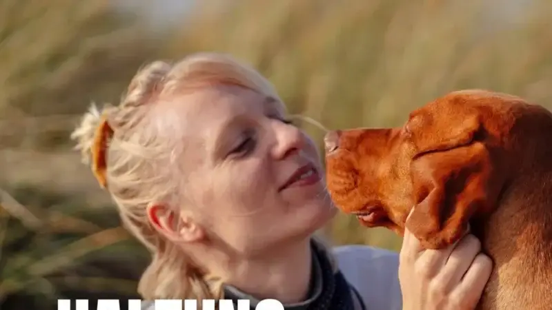 Warum läuft mein Hund im Kreis, bevor er sein Geschäft macht?