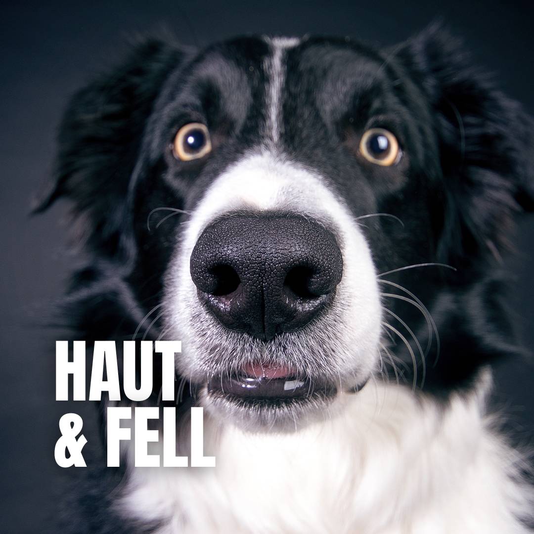 Haut & Fell :
