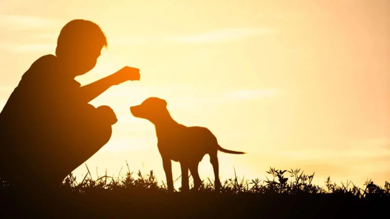 Jugend & Hund