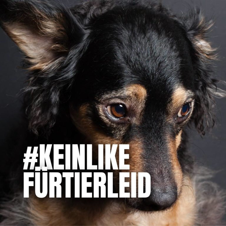 #keinlikefürtierleid : 