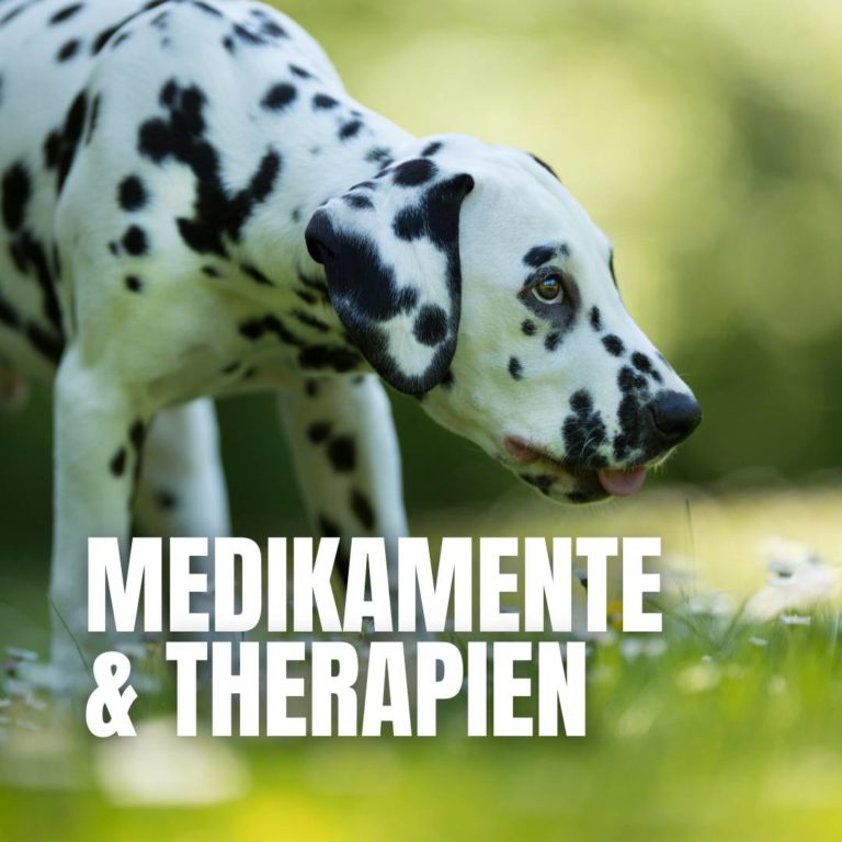 Medikamente & Therapien : 