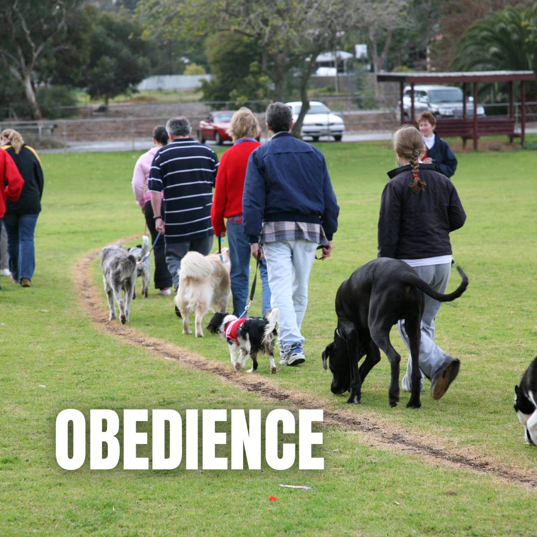 Obedience :