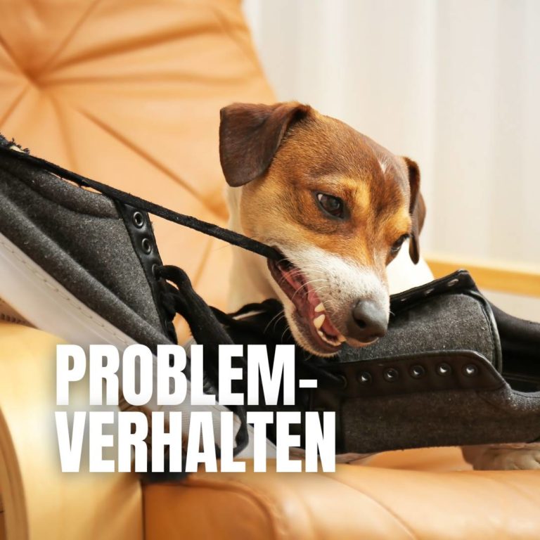 Problemverhalten : 